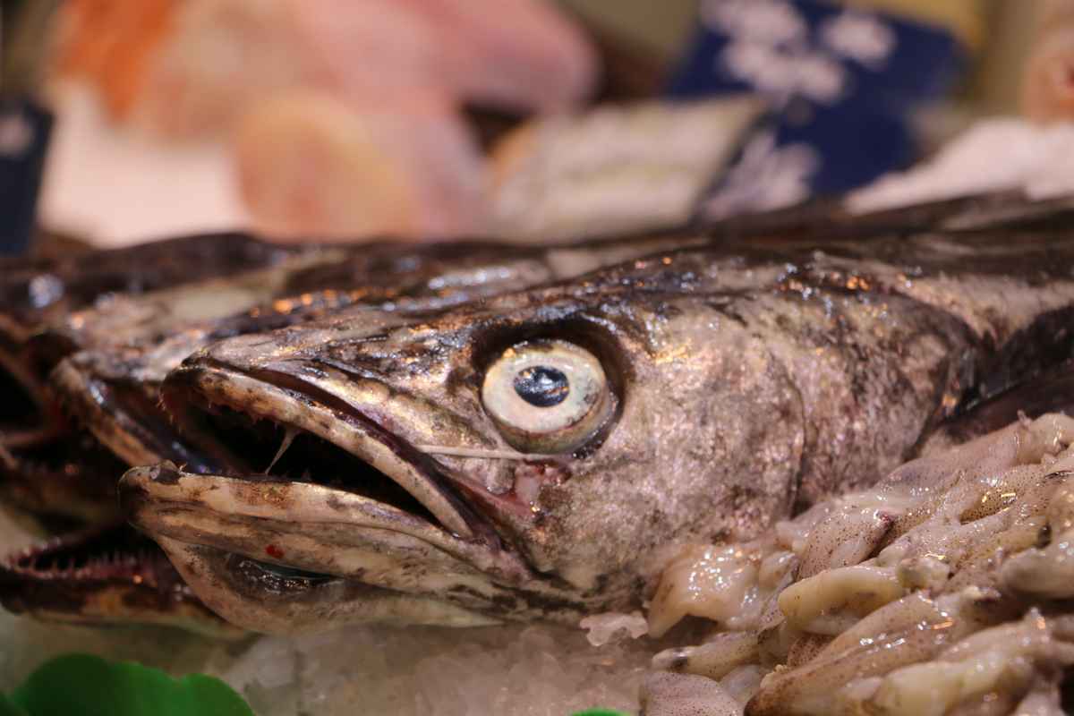 Schau mir in die Augen