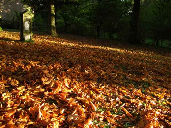 Abendsonnenstrahlen am alten Friedhof
