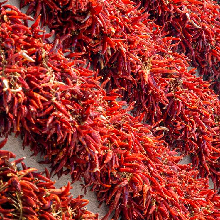 Rote Chilischoten