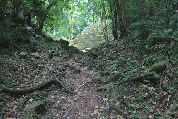 Yaxchilán