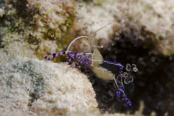 Es gibt bald Nachwuchs