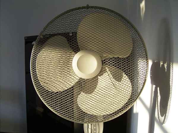 Ventilator