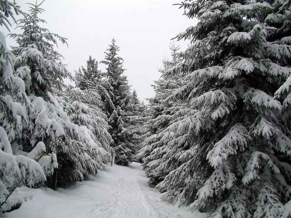weiße Winterlandschaft