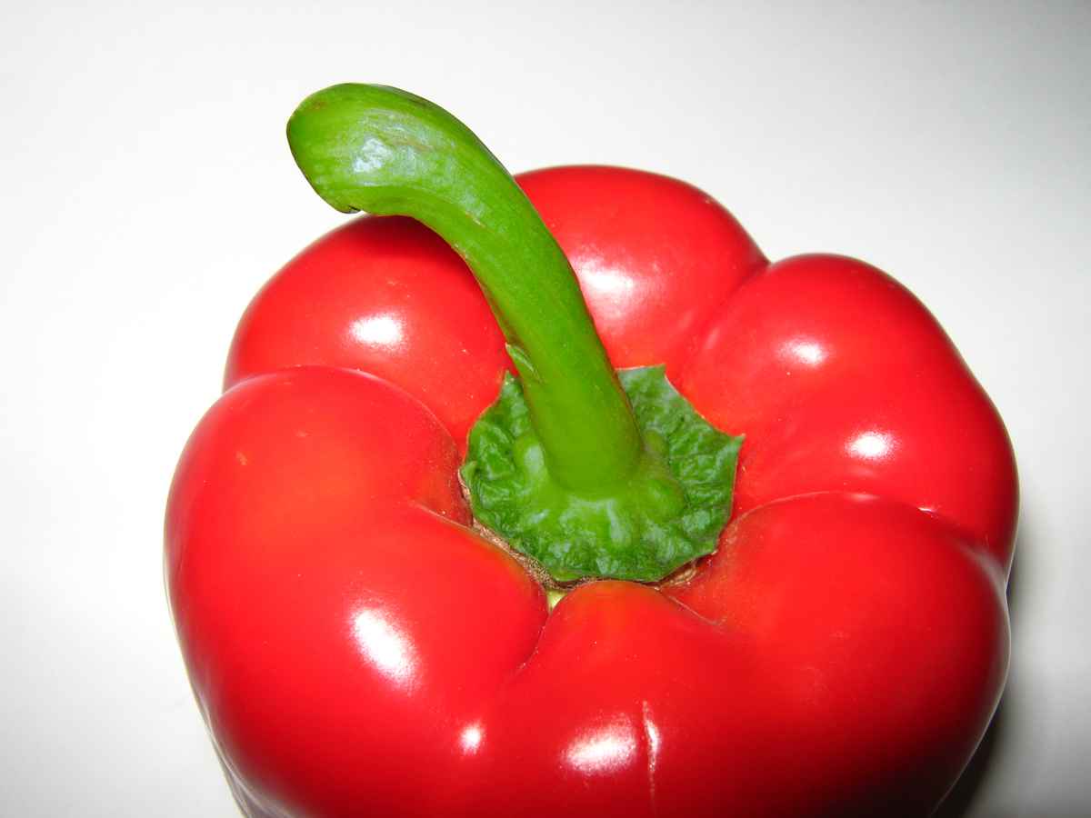 Rote Paprika