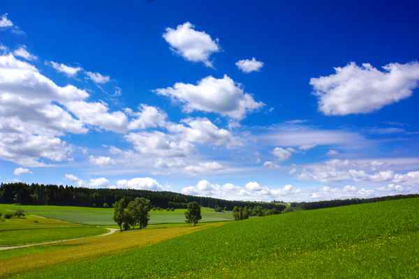 Frühsommerliche Schönwetter-Landschaft