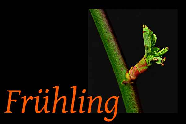 Frühling