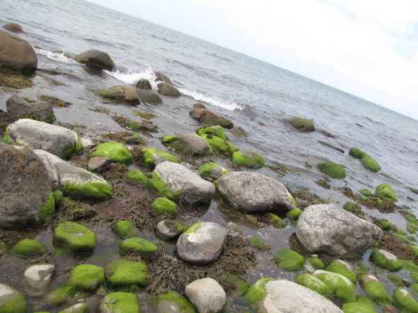 Rügen