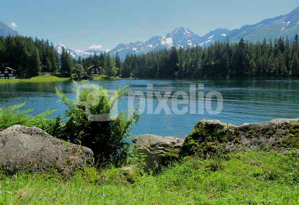 Bergsommer am Arnisee