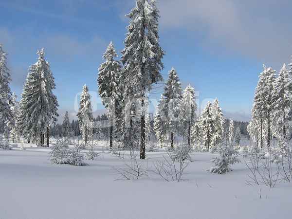 Oberhalb von Bodenmais