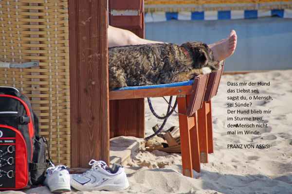 Tierfreundschaft