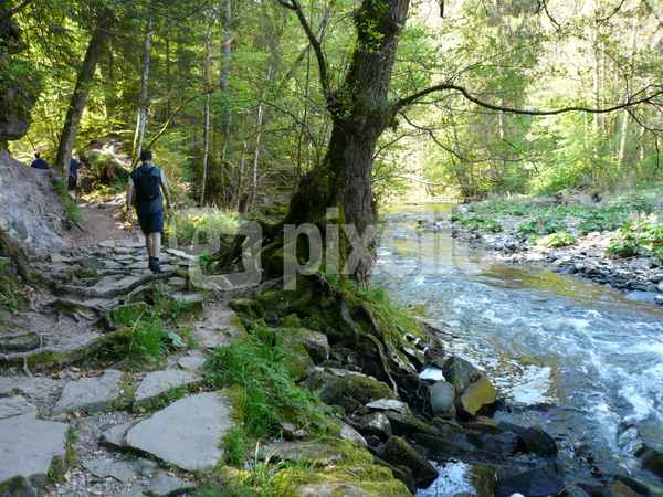 Impressionen aus der Wutachschlucht