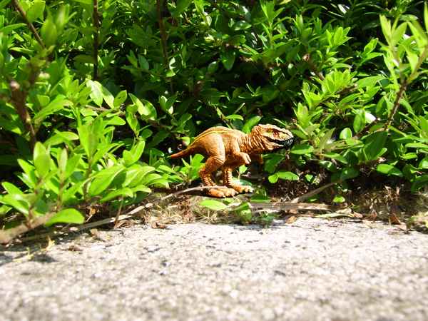 T-Rex
