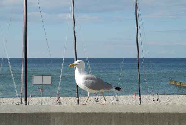 Strandspaziergang
