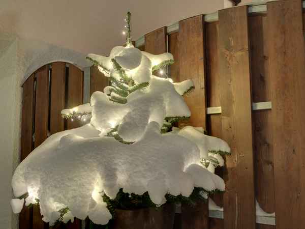 Kleiner Christbaum vor der Türe