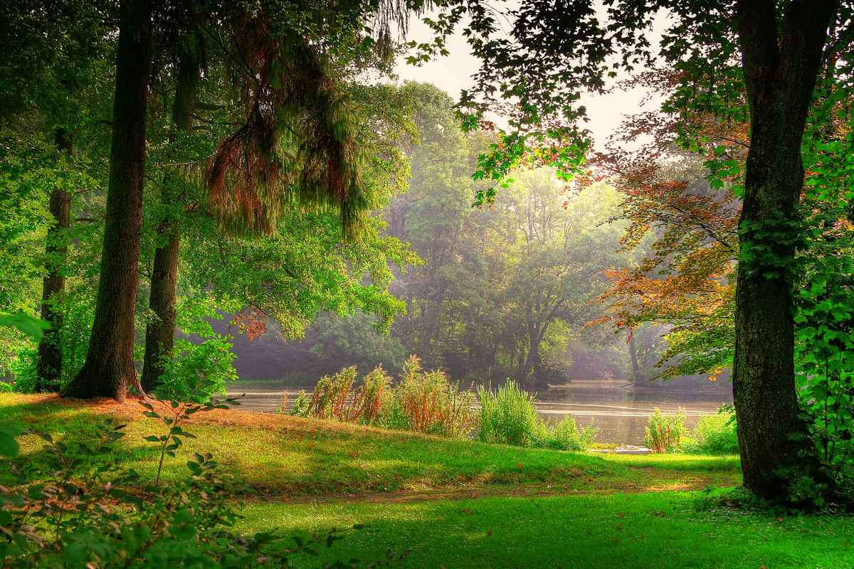 Ruhe im Schlosspark 4