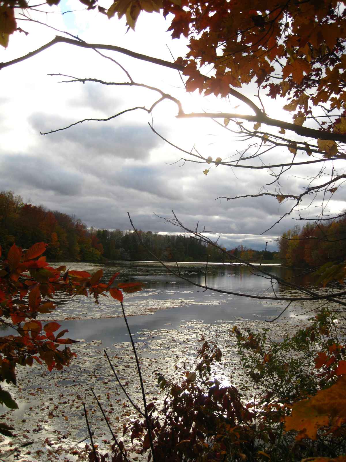 Herbsstlicher Fluss