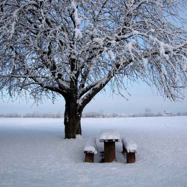 Frostiger Wintertag