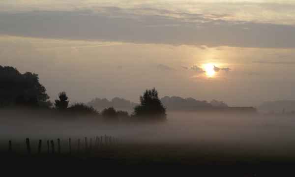 morgens in den felder