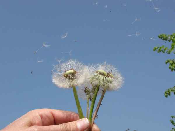 Ab in die weite Welt