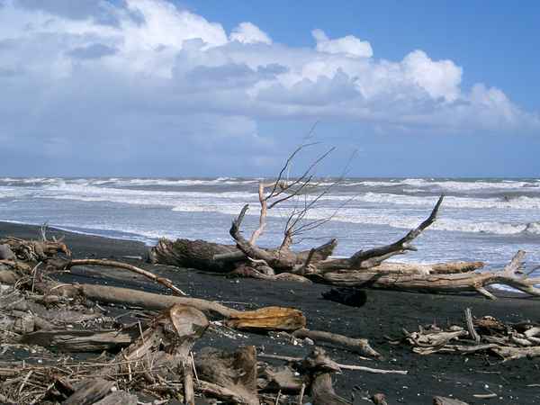 Strand & Meer & Strandgut