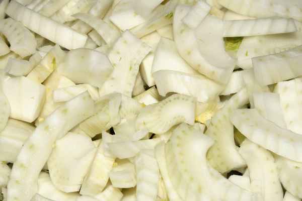 Fenchel e