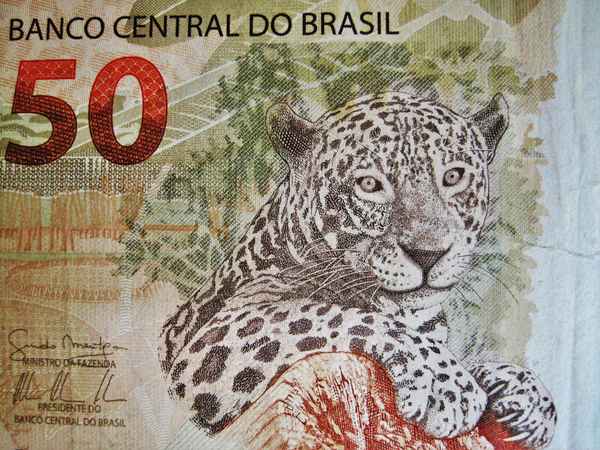 brasilianischer Fünfzig Real-Geldschein mit Jaguar