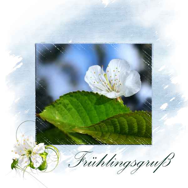 Frühlingsgruß