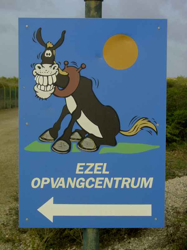 Esel Auffangzentrum