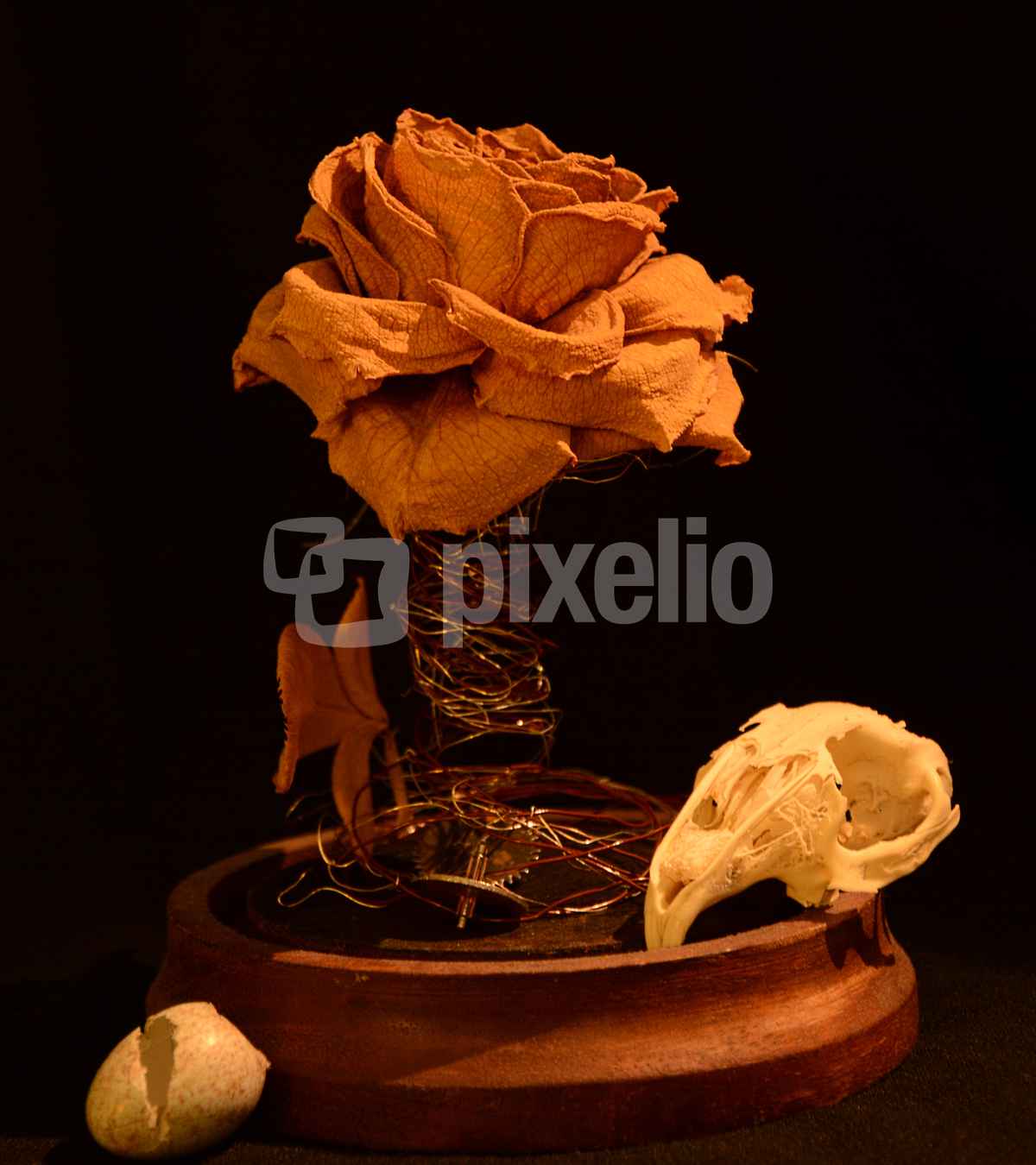 Vanitas