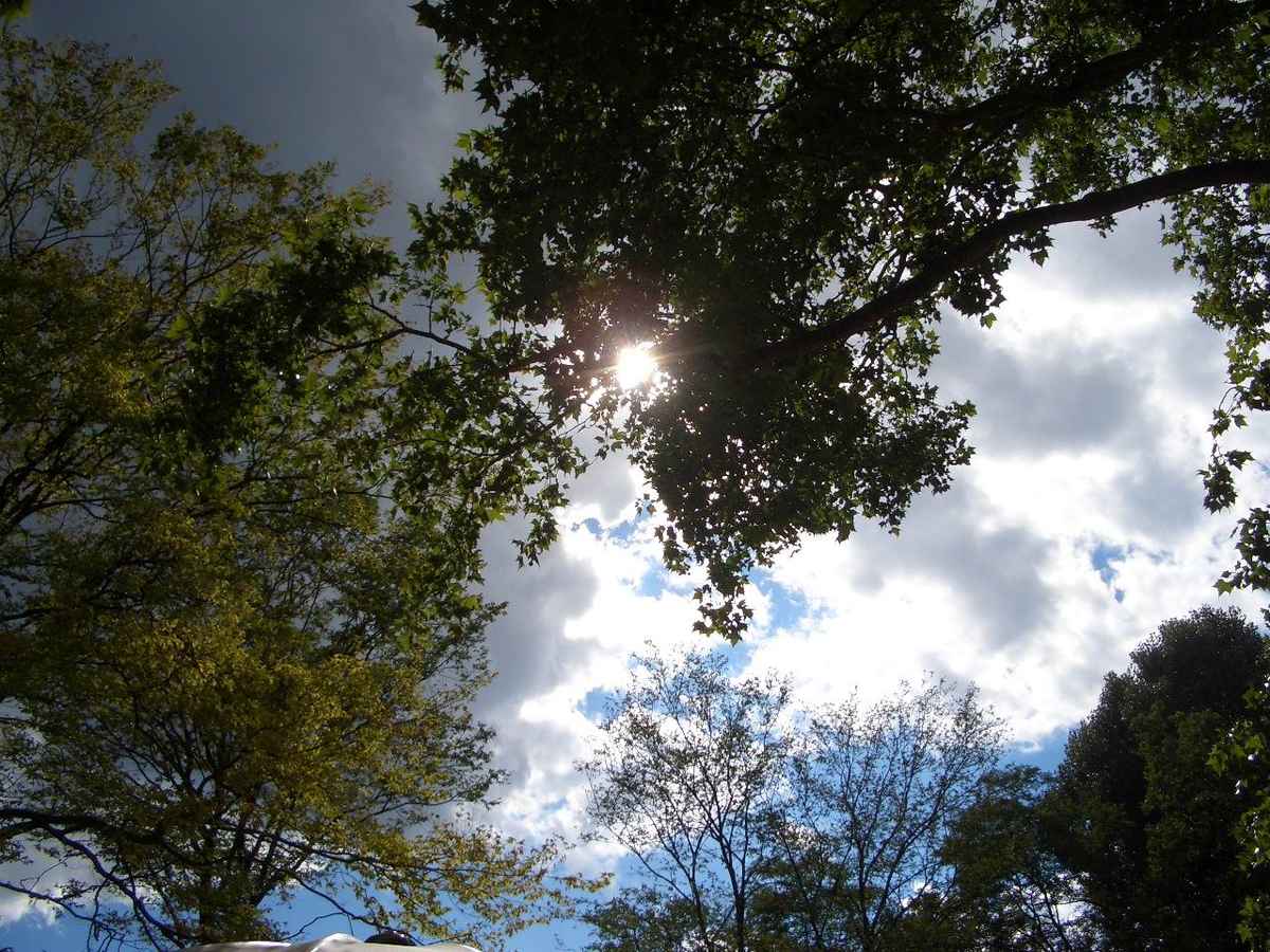 Wetter in allen Varianten