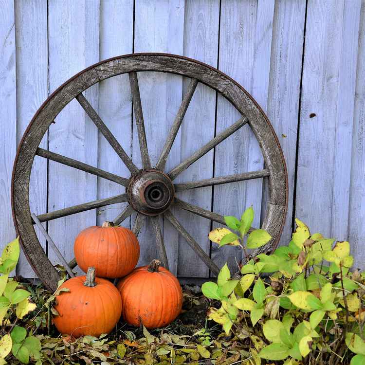 herbstliche Gartendeko