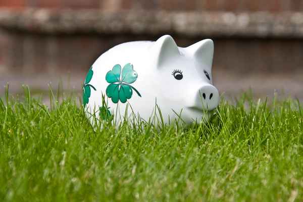  Sparschwein im Grünen