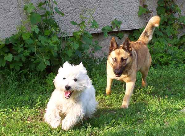 Bonny und Timmy_3