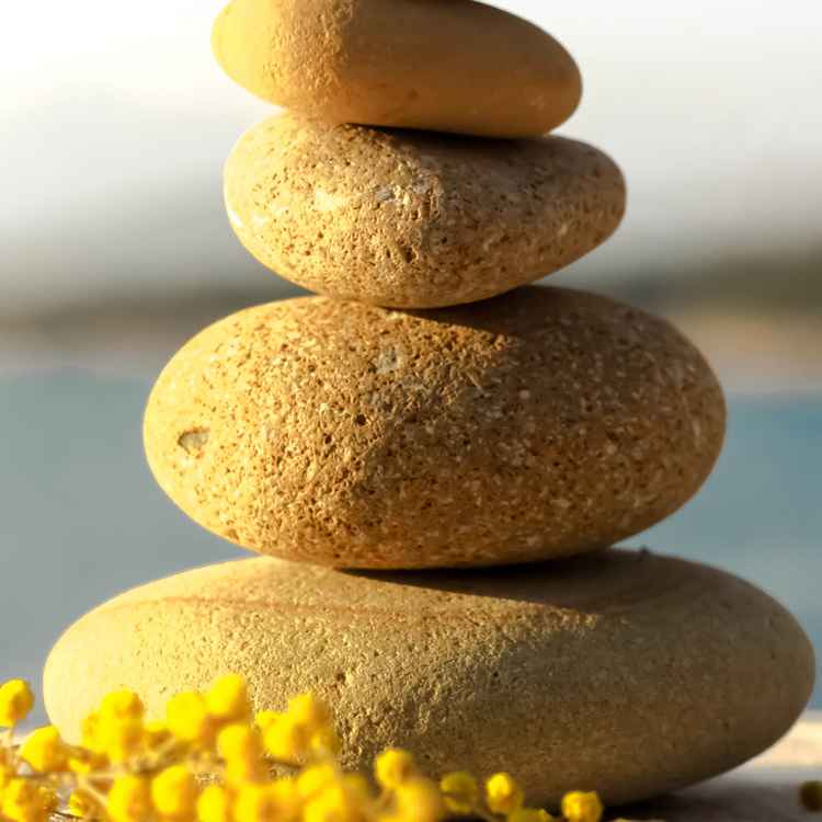 Frühlingsbalance mit Steinchen und Mimosa