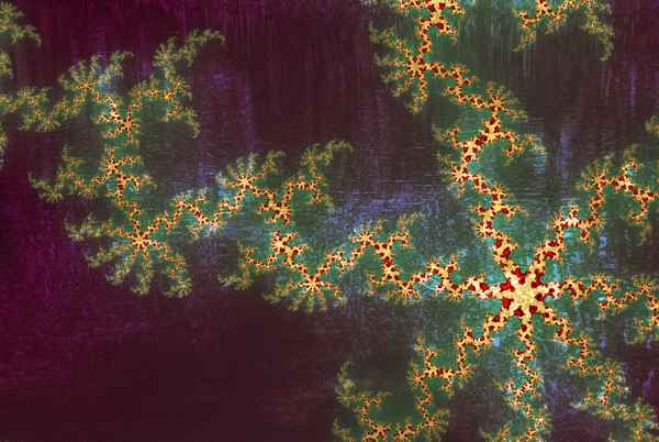 Fractal Montage