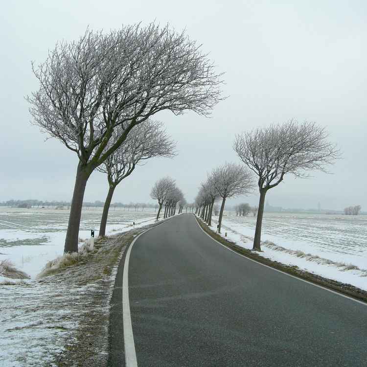 Bevorzugte Windrichtung