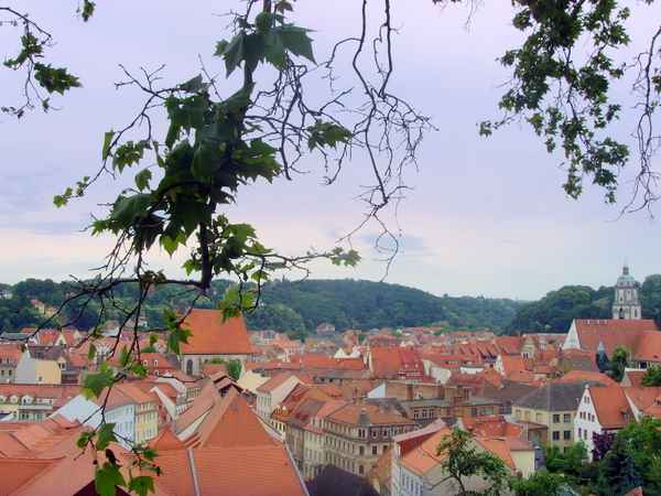 Blick auf Meißens historische Dächer