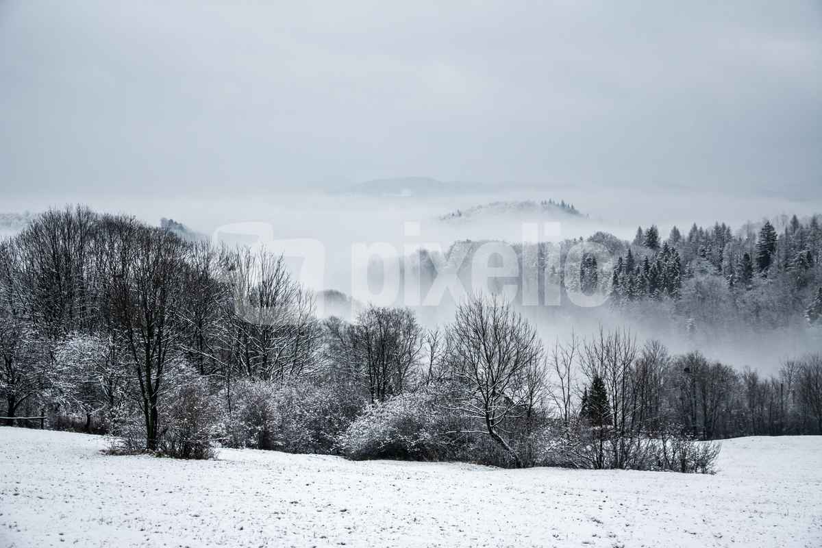 Winter