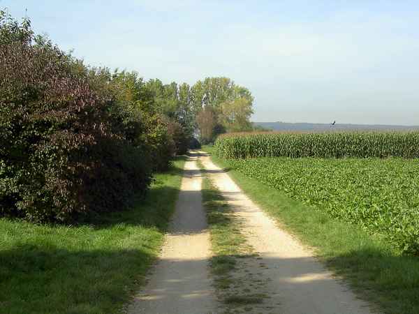 Feldweg