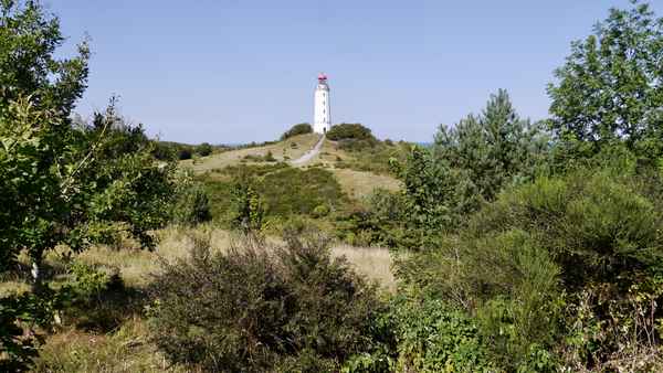 Leuchtturm auf dem Dornbusch 2