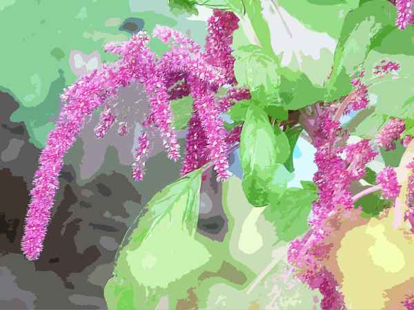 Blick in Nachbars Garten 6