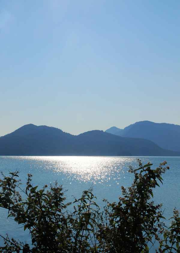 Ein Sommermorgen am See 08