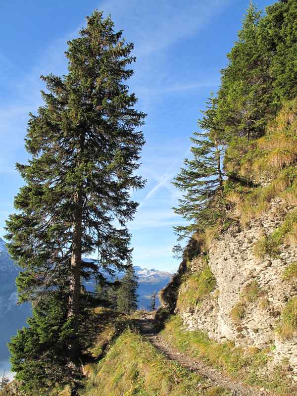 Auf schmalem Pfad zum Brienzer Rothorn