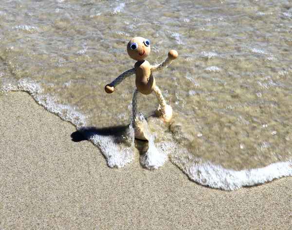 KLEINER STRANDLÄUFER