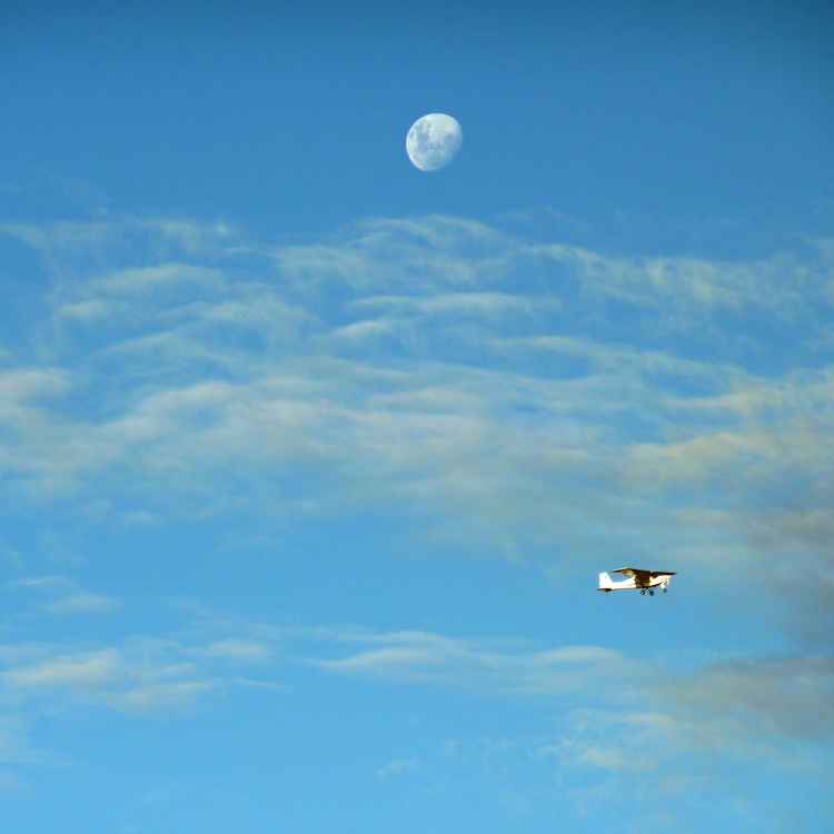 TRaum vom Fliegen...