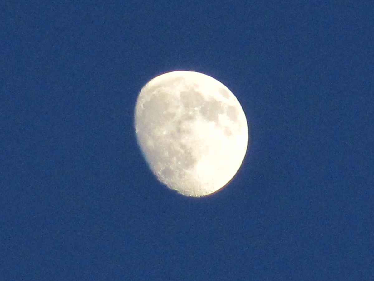 Mond