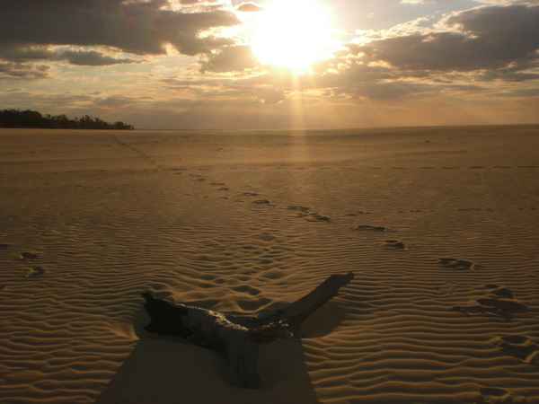 Spuren im Sand und altes Stück Holz / Foto: Alexander Hauk