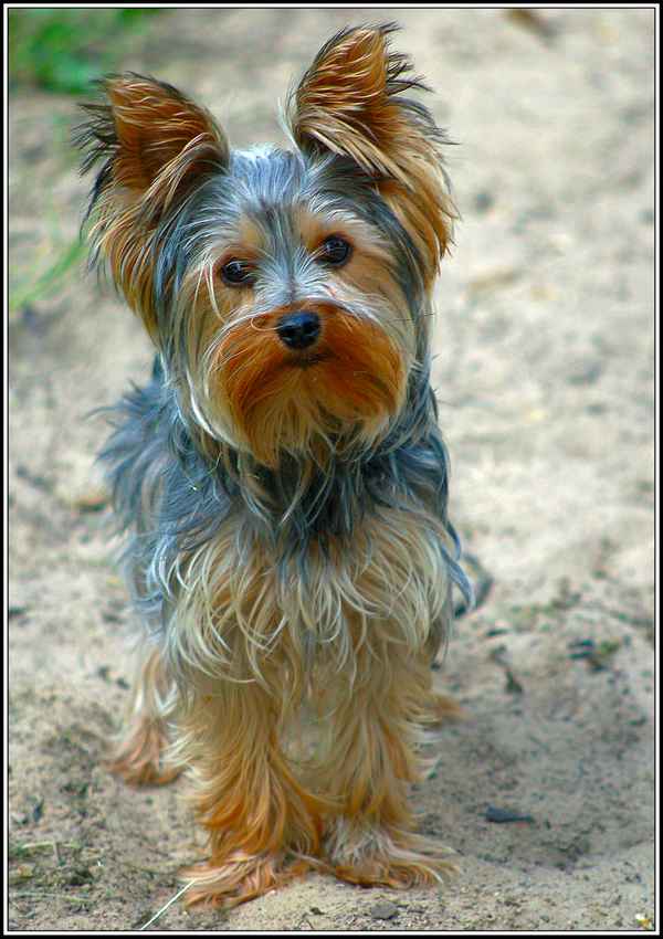 Ich bin ja sooo süß!