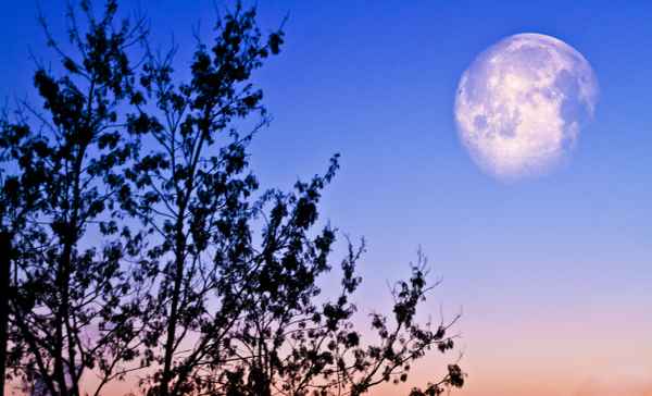 vollmond