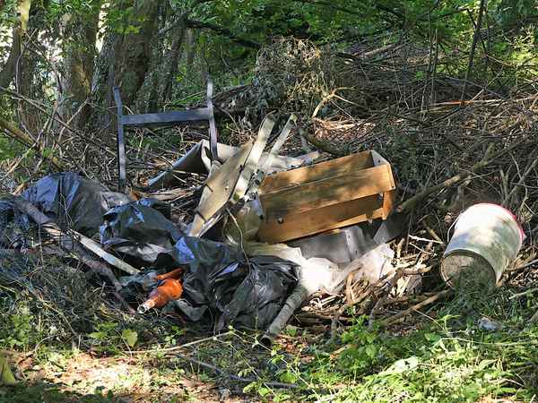 Objekte am Waldrand ......